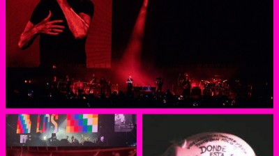 roger waters  comprometido y politico, paso por argentina