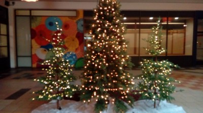 MY CHRISTMAS AVENTURE IN JAPAN TOWN!