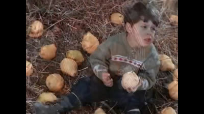 Return to innocence - Enigma