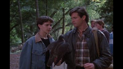 Starman.08.Le Faucon pèlerin.