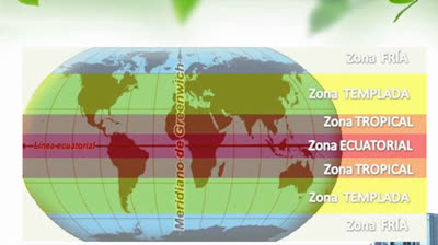 Capítulo 15. La geografía, el clima y los Recursos Naturales. Crecimiento economico (David Weil)
